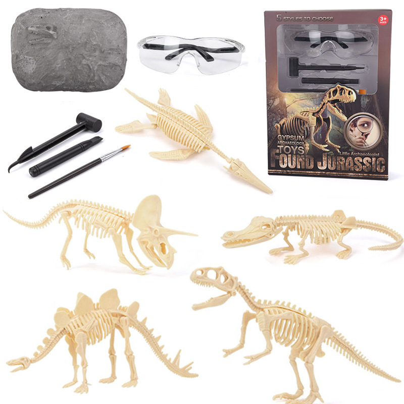 Science Toy - 恐竜化石発掘キット STEM 恐竜骨格模型発掘おもちゃ 男の子と女の子のための教育科学ギフト